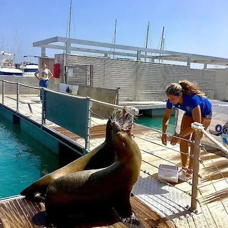 206 Pueblo Pescadores