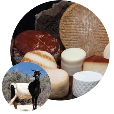 Apartment 206 Pueblo Pescadores