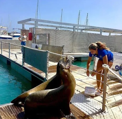 206 Pueblo Pescadores