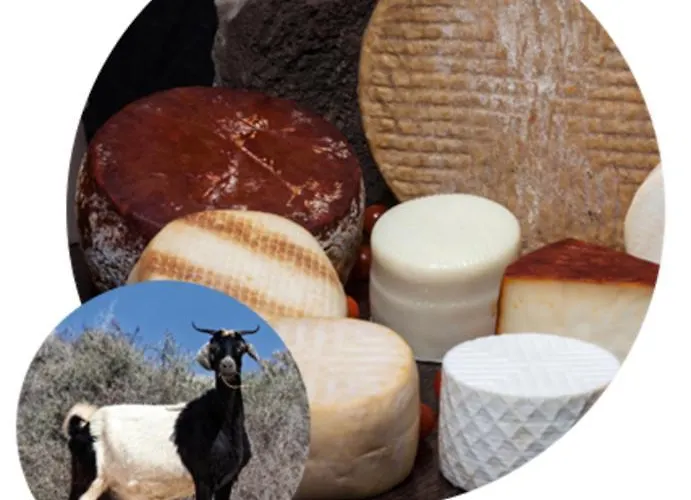 Διαμέρισμα 206 Pueblo Pescadores